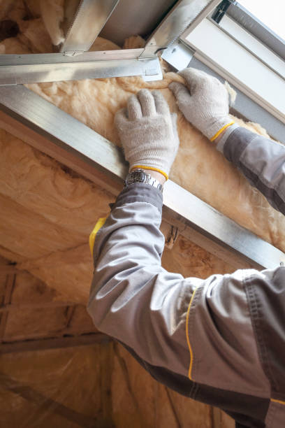 Best Eco-Friendly or Green Insulation Solutions  in Paramount Long Meadow, MD